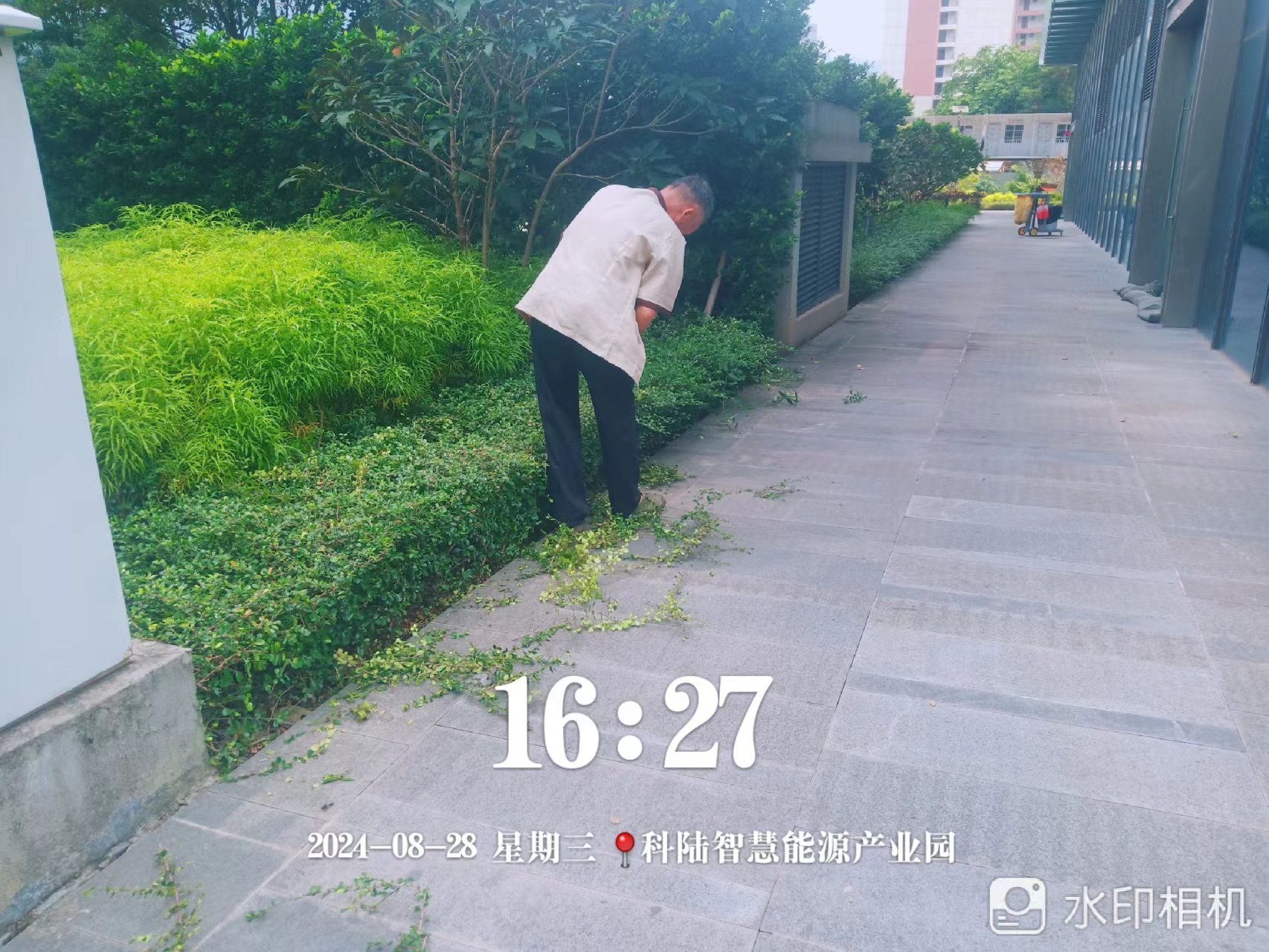 園區保潔員、園林綠化工作人員：揮汗如雨呵護綠色風景線